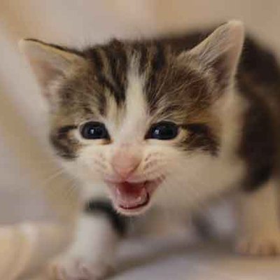 Profile Picture of Wen Zhen Ng (@Wenzhen2004) on Twitter