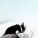 Profile Picture of Rebecca Selinger (@rec1008) on Pinterest