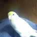 Profile Picture of James Mccrillis (@james.mccrillis.3) on Facebook