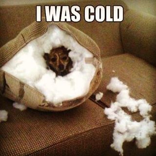 Profile Picture of James Lyall (@james.lyall.161) on Facebook