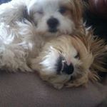 Profile Picture of Mark Manton (@markmanton1) on Instagram
