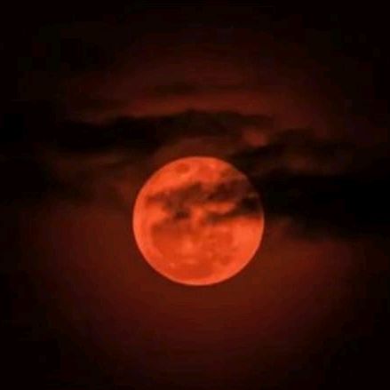 Profile Picture of Fernando Ellingto (@fernandoellington) on Tiktok