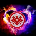 Profile Picture of Elias Feistkorn (@eliasf2770) on Instagram