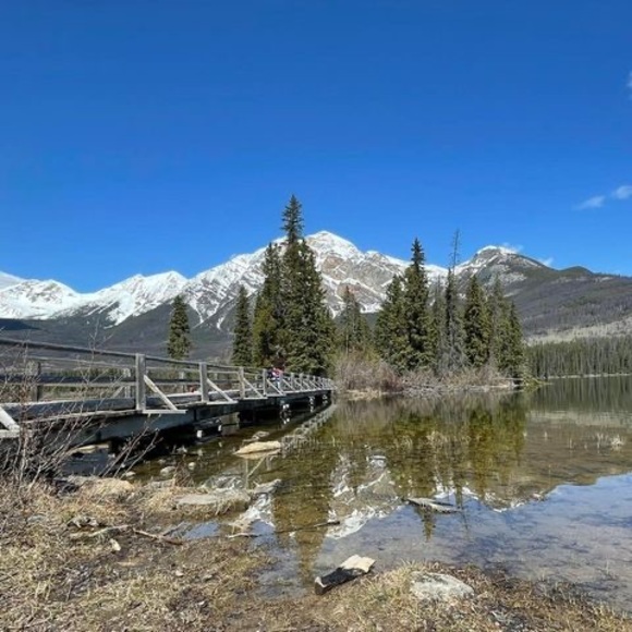 Profile Picture of Percy Wong (@jrwong858) on Poshmark