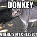 Profile Picture of Robert Aviles (@aviles0166) on Pinterest