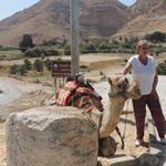 Profile Picture of Monica Costanzo (@costanzo.monica) on Instagram