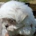 Profile Picture of Peggy Etheridge (@peggy.george.etheridge) on Facebook