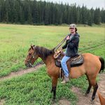 Profile Picture of Matthew Finch (@matthew_finch) on Instagram