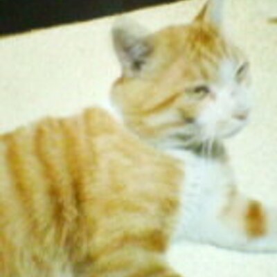 Profile Picture of Satokeith (@sato_keith) on Twitter