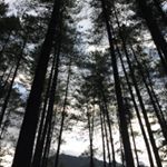 Profile Picture of Megha Agrawal (@stopandpose.m.a) on Instagram