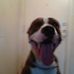 Profile Picture of Jonathan Cleary (@jonathan.cleary2) on Facebook