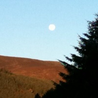 Profile Picture of Damien Emerson (@damienemerson) on Twitter