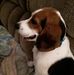 Profile Picture of Stephanie Etheridge (Stephanie P. Etheridge) (@pommom1979) on Facebook