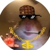 Profile Picture of ANDREW (@@memoriesaremade) on Tiktok
