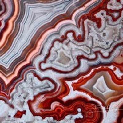 Profile Picture of Jim_Kraus (@JGKSunbear) on Twitter