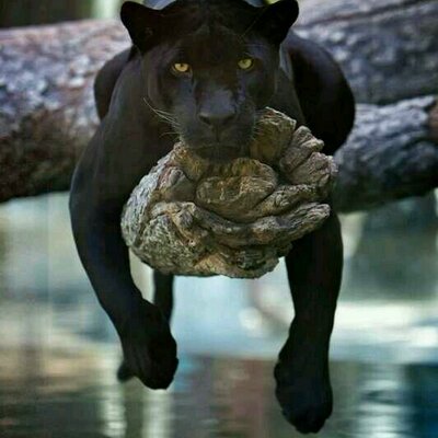 Profile Picture of Barry Thurlow (@BKirkT) on Twitter