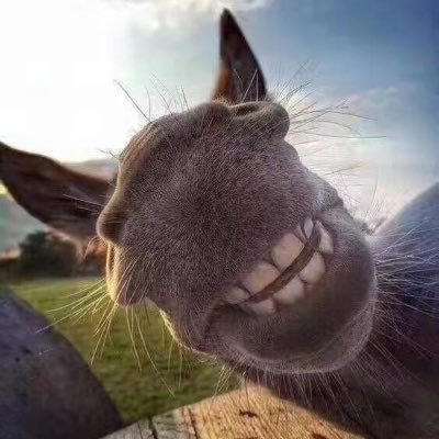 Profile Picture of Andy Deng (@andydenghalifax) on Twitter