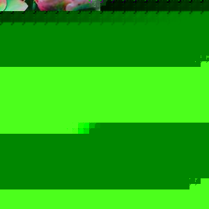 Profile Picture of Vibrance (@247961183) on Myspace