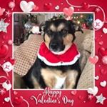 Profile Picture of Paula Sartorius (@sartoriuspaula) on Instagram