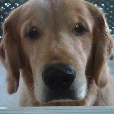 Profile Picture of RyMer (@Rerie_86) on Twitter