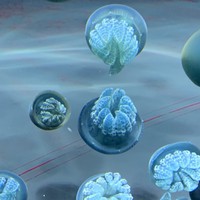 Profile Picture of Hailey Daniels (@hailey-daniels-4) on Quora