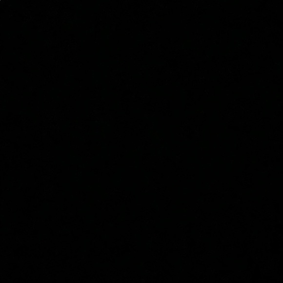 Profile Picture of Lorenza C (@lorenza1123) on Poshmark