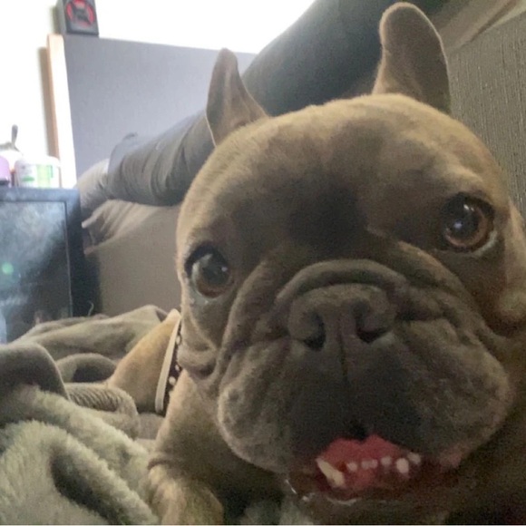 Profile Picture of Debra Huff (@debrahuff144) on Poshmark