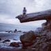 Profile Picture of Kyle Estabrook (@estabrook0048) on Pinterest