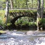 Profile Picture of Ewald Karl (@ewaldkarl) on Instagram