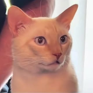 Profile Picture of HB (@hugoacevedo) on Instagram