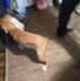 Profile Picture of William Knickerbocker (@william.knickerbocker.7359) on Facebook