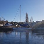 Profile Picture of david Nesbitt (@sailtaupo) on Instagram