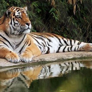 Profile Picture of Marc Laramee (@226802599) on Myspace