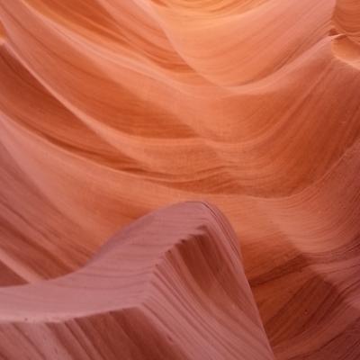 Profile Picture of Dan Lynds (@oaksdan) on Twitter