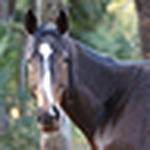 Profile Picture of Brian Parsons (@Triple Tee) on Flickr