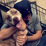 Profile Picture of Paul Dobies (@paulidobes) on Instagram