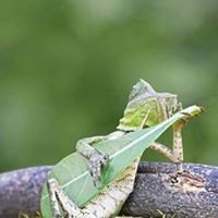 Lucas Alcala - Myspace Profile Picture of Lucas Alcala (@luacala) on Myspace