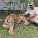 Profile Picture of Ajay Tripathi (@ajay.tripathi.7798) on Facebook