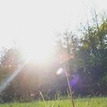 Profile Picture of Lillian Parks (@cheesy._.bacon._.dinosaur) on Instagram
