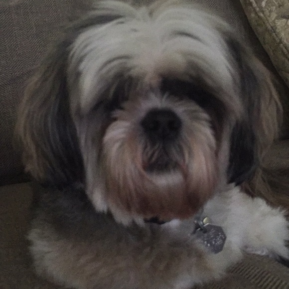 Kasey Wixson - Poshmark Profile Picture of Kasey Wixson (@kaseyj816) on Poshmark