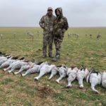 Profile Picture of Alex Pisarski (@alex_pisarski) on Instagram