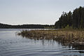 Profile Picture of Payukosap Lakeon Wikipedia