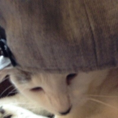 Profile Picture of Tom Glendenning (@19glendenningt) on Twitter