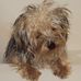 Profile Picture of Bobby Binder (@bobby.binder.752) on Facebook