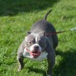 Profile Picture of Fernando Gongora (@fgongora_93) on Instagram