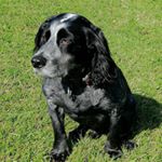 Profile Picture of Keith Goddard (@keithgoddard8) on Instagram