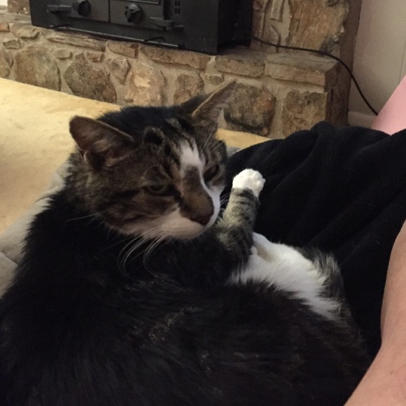 Profile Picture of Kathy Riggs (@tennkat1) on Poshmark