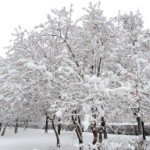 Profile Picture of Hartwell (@hartwelljeff88) on Instagram