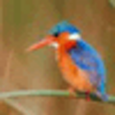 Profile Picture of Clifford Rosenberg (@es5fanj) on Twitter