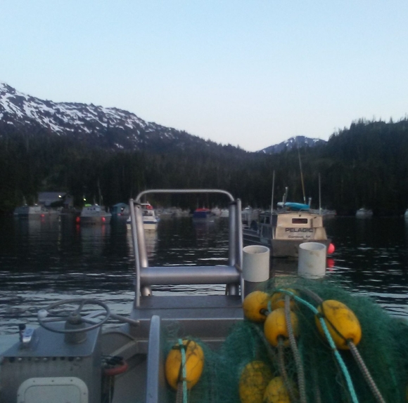 Profile Picture of Olin Rindal (@tailwalker177) on Poshmark